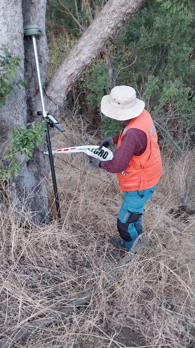 Topógrafo de medicionchile.cl midiendo un vértice con GPS Base y Móvil RTK junto a cinta de demarcación en terreno con bosque